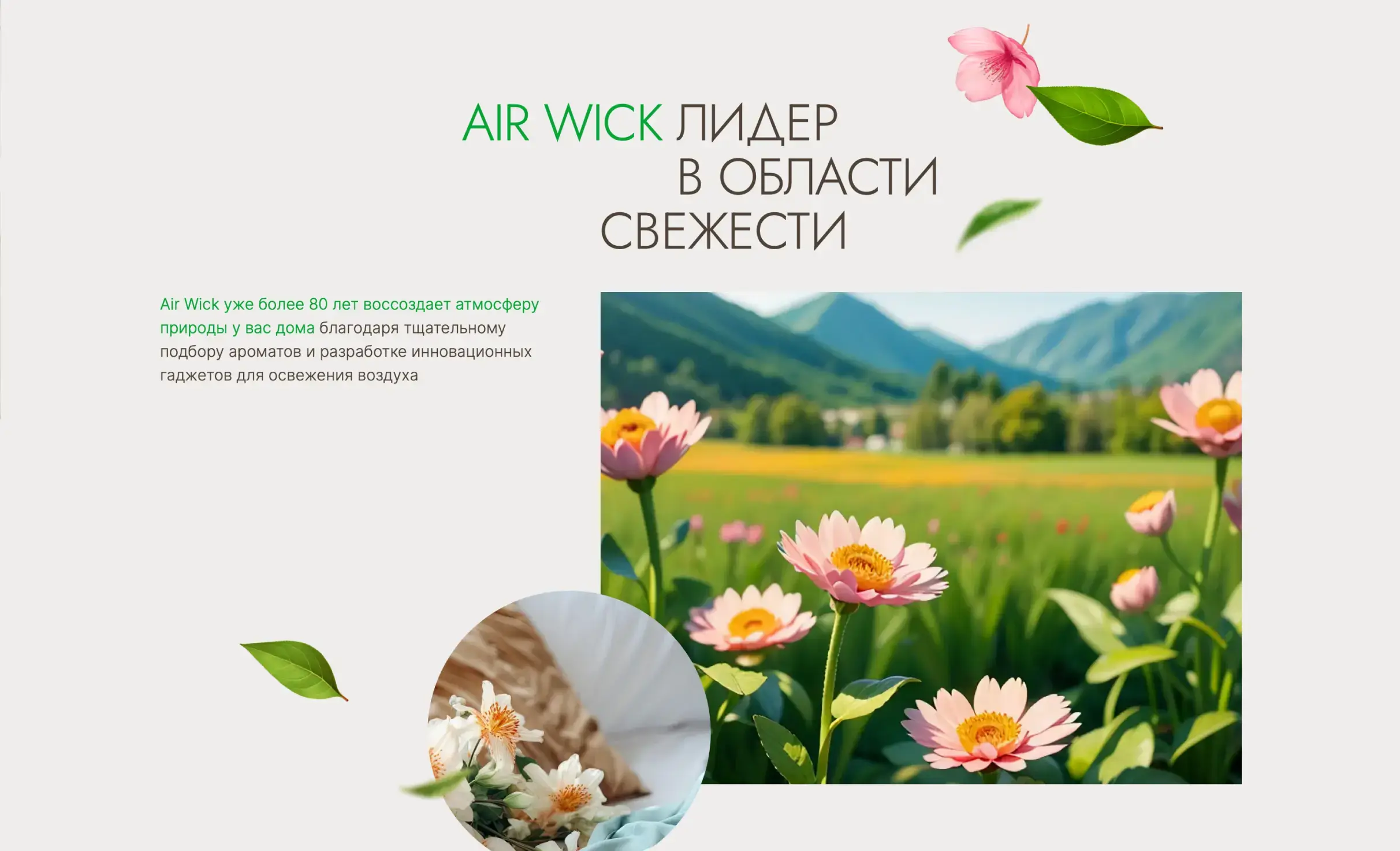 Посмотреть сайт